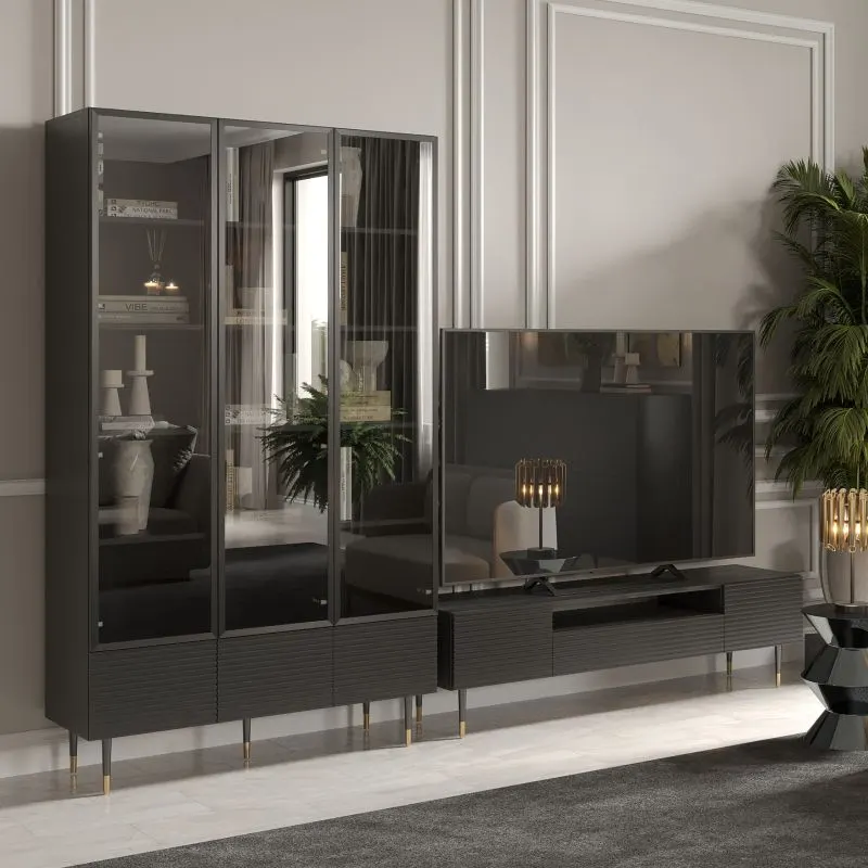 Elegant black display cabinet and TV stand with tinted glass and modern designe